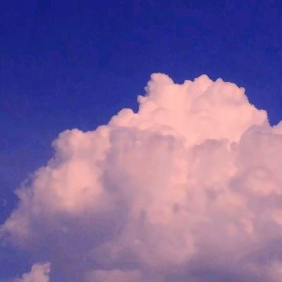 leyuapp下载官网下载