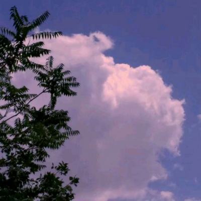 pg电子娱乐官网游戏app下载