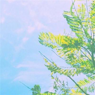 半导综合体育下载