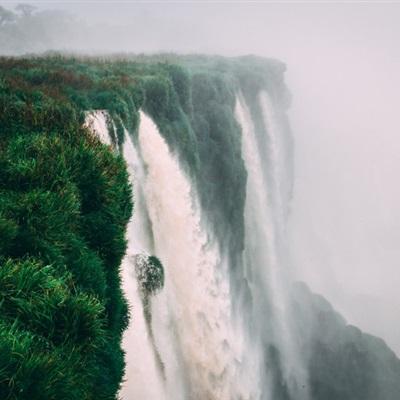 天成彩票手机app下载