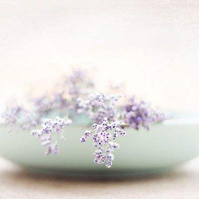 棋牌游戏手机app下载