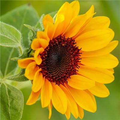 m6米乐网页版登录入口下载手机版